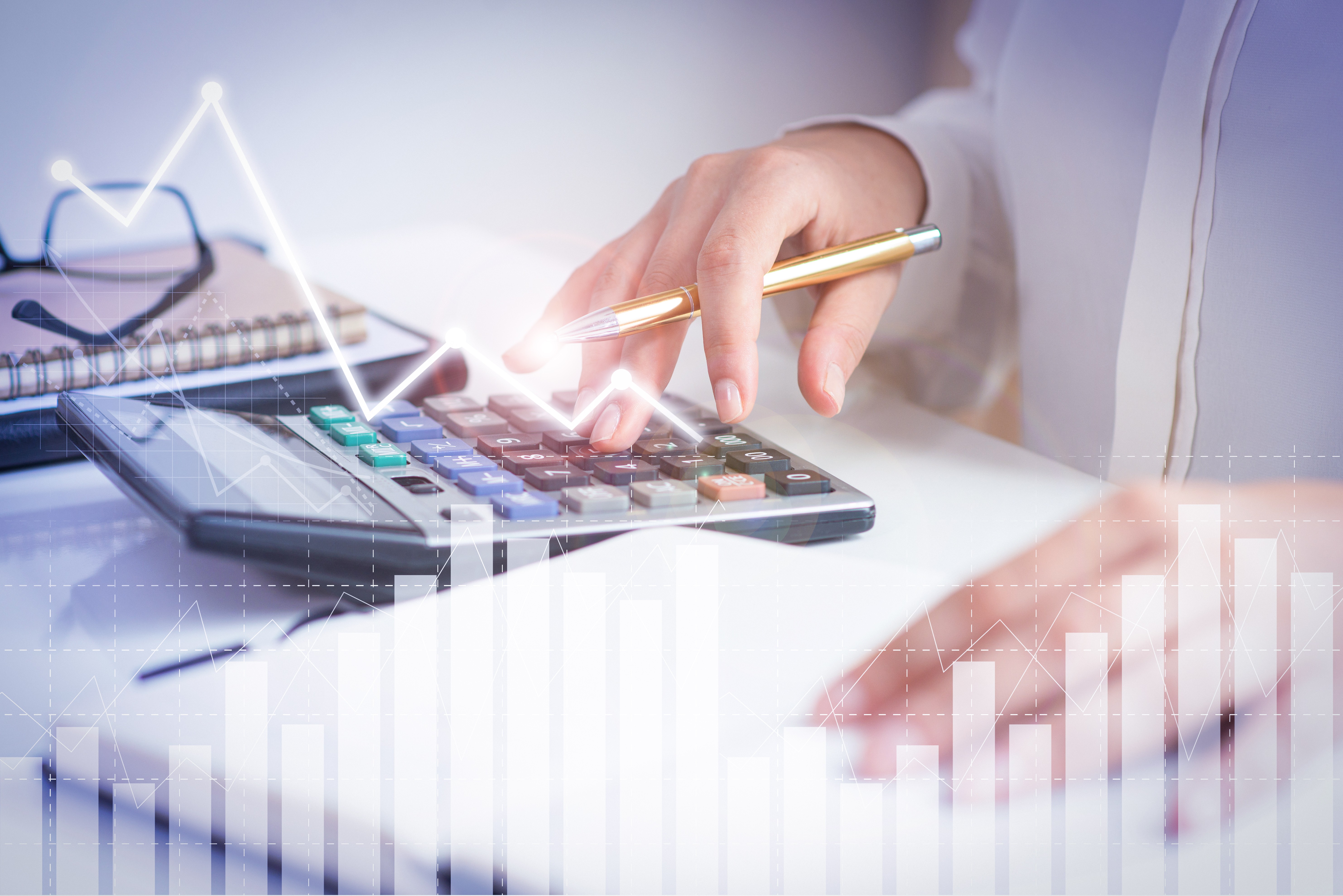 Billing Software