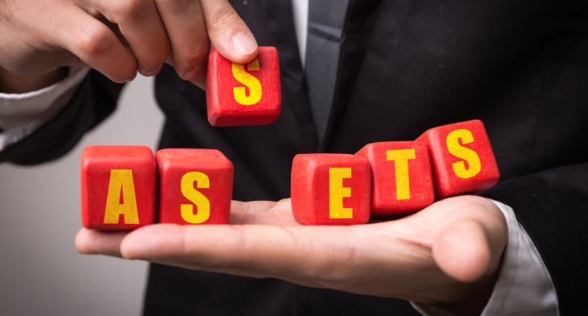 Asset Management Software