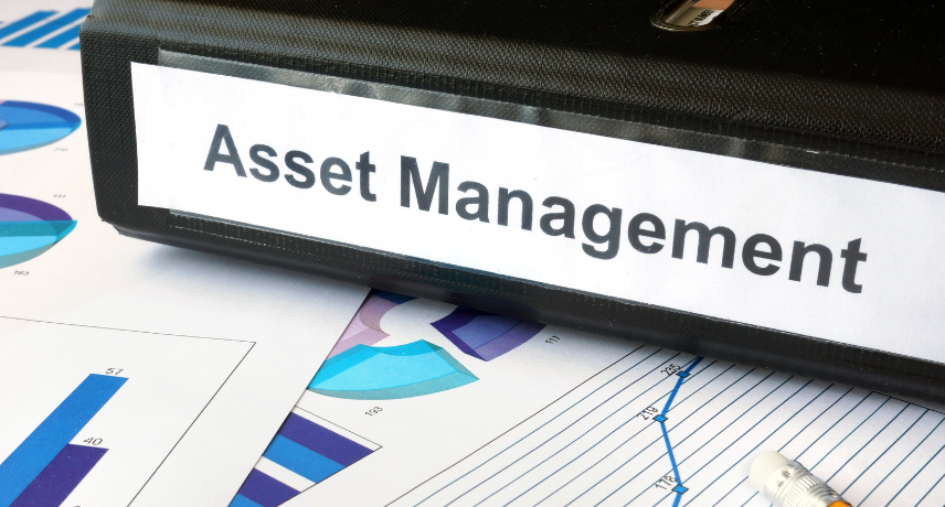 Asset Management Software