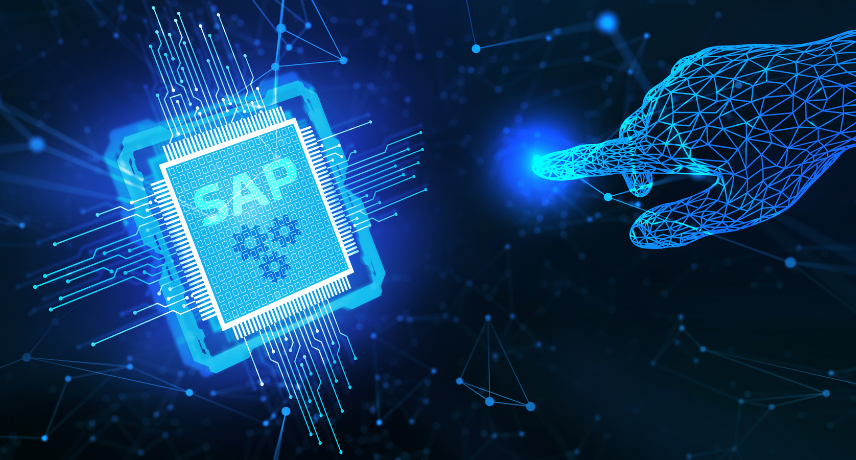 SAP Business One ERP