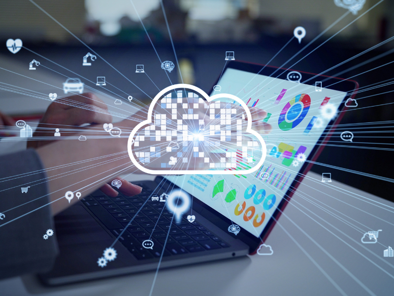 Customer Experience Management Software