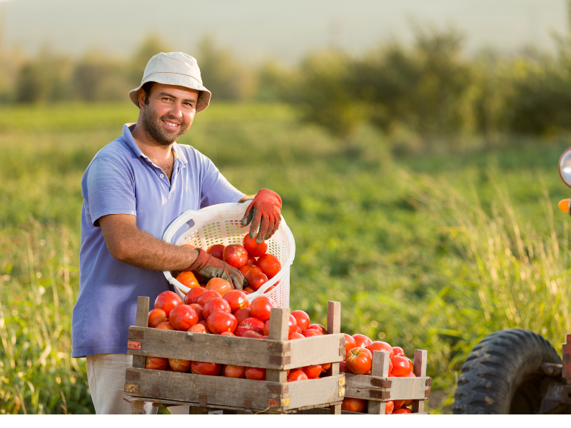 Agriculture Software