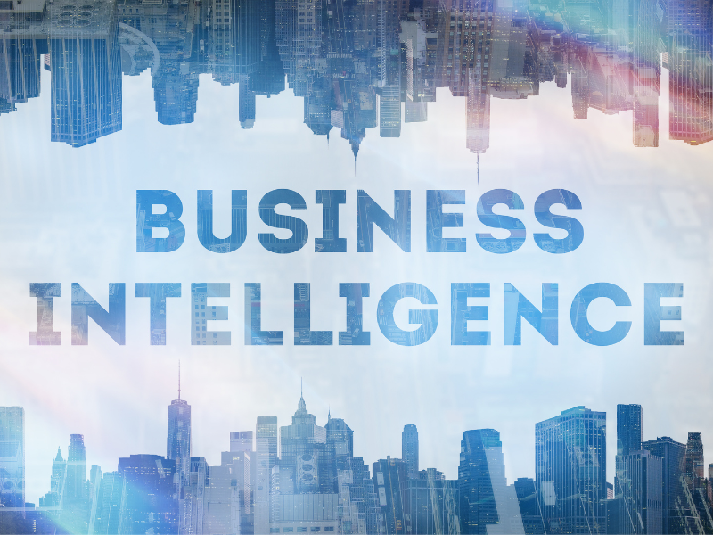 Business Intelligence Software